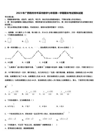 2023年广西梧州市岑溪市数学七年级第一学期期末考试模拟试题含解析.doc
