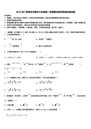 2023年广西百色市数学七年级第一学期期末教学质量检测试题含解析.doc