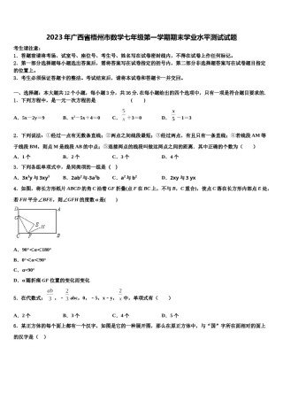 2023年广西省梧州市数学七年级第一学期期末学业水平测试试题含解析.doc