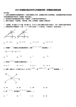 2023年德阳市重点中学七年级数学第一学期期末调研试题含解析.doc