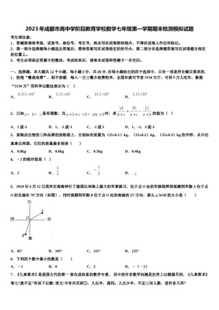 2023年成都市高中学阶段教育学校数学七年级第一学期期末检测模拟试题含解析.doc