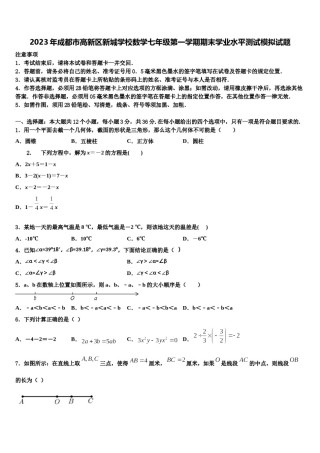 2023年成都市高新区新城学校数学七年级第一学期期末学业水平测试模拟试题含解析.doc