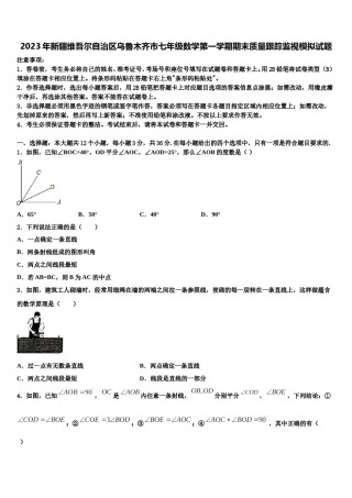 2023年新疆维吾尔自治区乌鲁木齐市七年级数学第一学期期末质量跟踪监视模拟试题含解析.doc