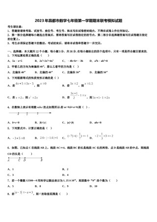 2023年昌都市数学七年级第一学期期末联考模拟试题含解析.doc