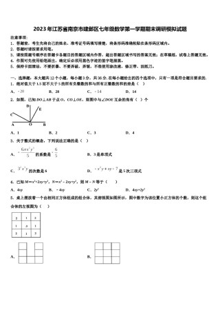 2023年江苏省南京市建邺区七年级数学第一学期期末调研模拟试题含解析.doc