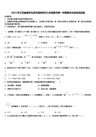 2023年江苏省南京玄武外国语学校七年级数学第一学期期末达标检测试题含解析.doc