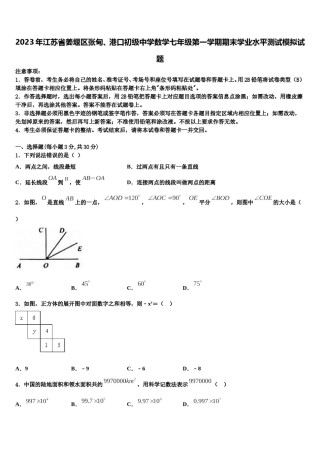 2023年江苏省姜堰区张甸、港口初级中学数学七年级第一学期期末学业水平测试模拟试题含解析.doc