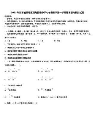 2023年江苏省姜堰区张甸初级中学七年级数学第一学期期末联考模拟试题含解析.doc