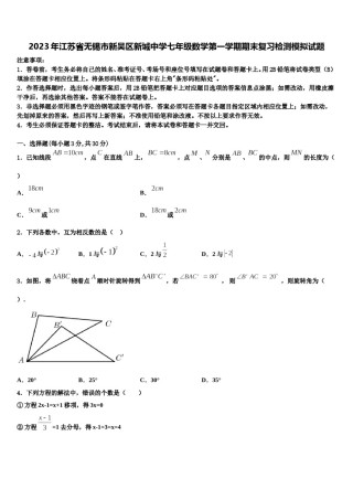 2023年江苏省无锡市新吴区新城中学七年级数学第一学期期末复习检测模拟试题含解析.doc