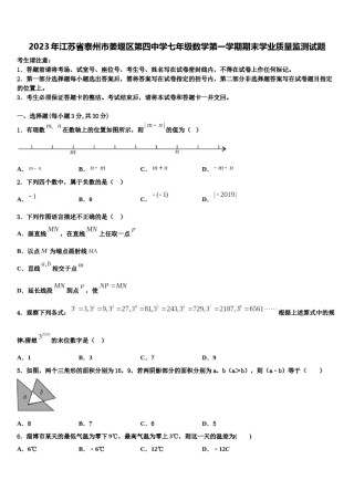 2023年江苏省泰州市姜堰区第四中学七年级数学第一学期期末学业质量监测试题含解析.doc