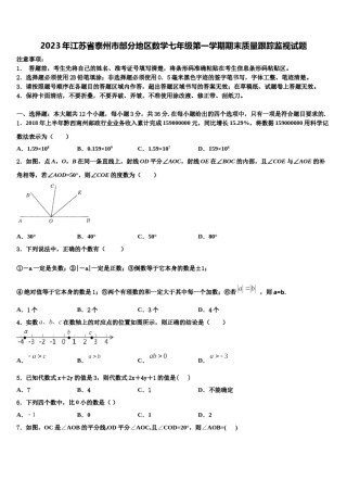 2023年江苏省泰州市部分地区数学七年级第一学期期末质量跟踪监视试题含解析.doc