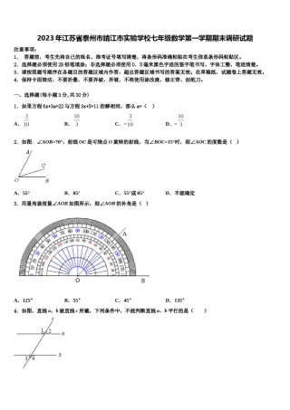 2023年江苏省泰州市靖江市实验学校七年级数学第一学期期末调研试题含解析.doc