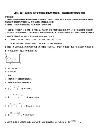 2023年江苏省海门市东洲国际七年级数学第一学期期末检测模拟试题含解析.doc