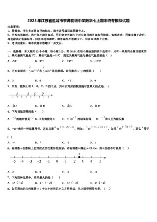 2023年江苏省盐城市亭湖初级中学数学七上期末统考模拟试题含解析.doc