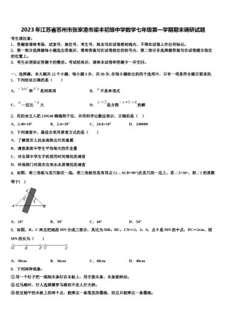 2023年江苏省苏州市张家港市梁丰初级中学数学七年级第一学期期末调研试题含解析.doc