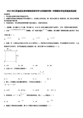 2023年江苏省连云港市赣榆实验中学七年级数学第一学期期末学业质量监测试题含解析.doc