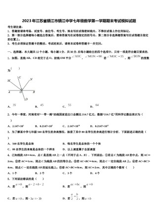 2023年江苏省镇江市镇江中学七年级数学第一学期期末考试模拟试题含解析.doc