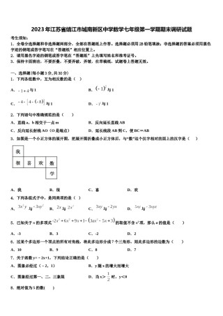 2023年江苏省靖江市城南新区中学数学七年级第一学期期末调研试题含解析.doc