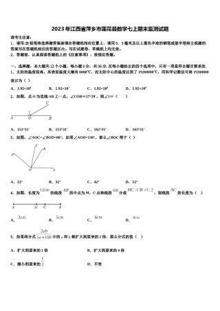 2023年江西省萍乡市莲花县数学七上期末监测试题含解析.doc