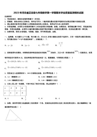 2023年河北省正定县七年级数学第一学期期末学业质量监测模拟试题含解析.doc