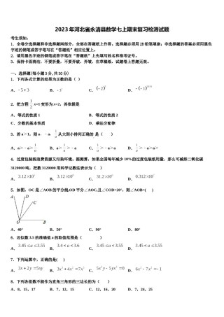 2023年河北省永清县数学七上期末复习检测试题含解析.doc