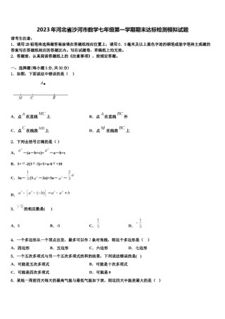 2023年河北省沙河市数学七年级第一学期期末达标检测模拟试题含解析.doc