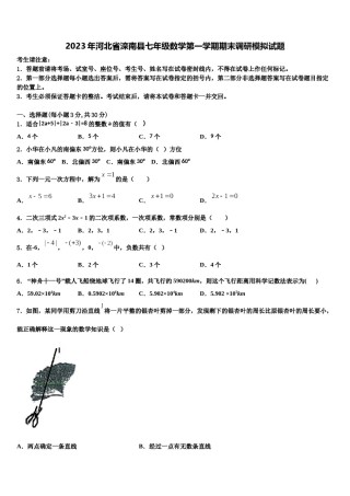 2023年河北省滦南县七年级数学第一学期期末调研模拟试题含解析.doc