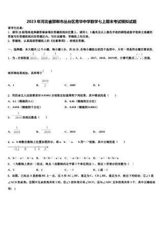 2023年河北省邯郸市丛台区育华中学数学七上期末考试模拟试题含解析.doc
