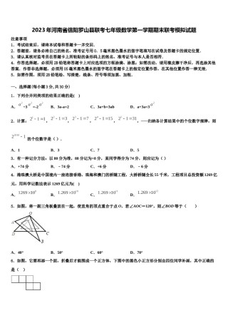2023年河南省信阳罗山县联考七年级数学第一学期期末联考模拟试题含解析.doc