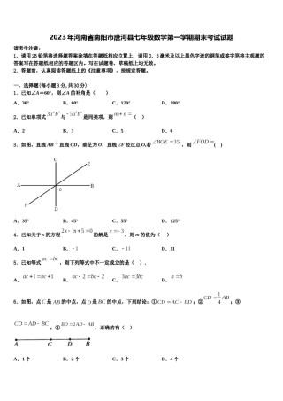 2023年河南省南阳市唐河县七年级数学第一学期期末考试试题含解析.doc
