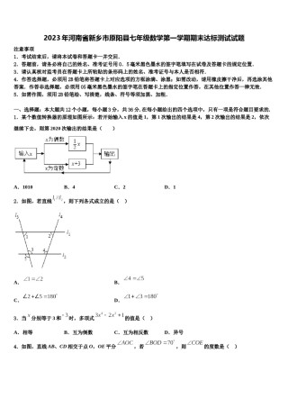 2023年河南省新乡市原阳县七年级数学第一学期期末达标测试试题含解析.doc