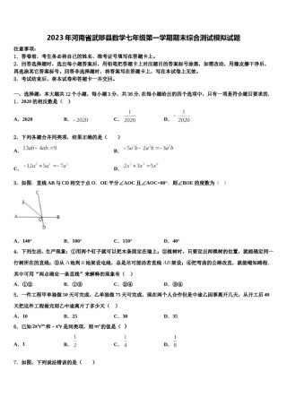 2023年河南省武陟县数学七年级第一学期期末综合测试模拟试题含解析.doc
