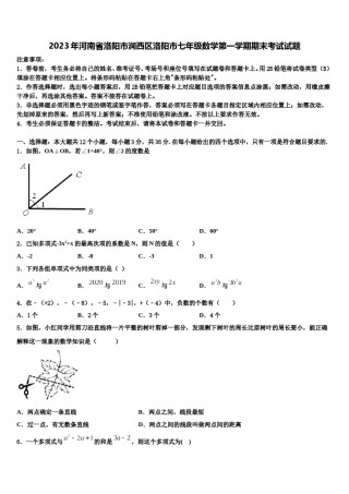 2023年河南省洛阳市涧西区洛阳市七年级数学第一学期期末考试试题含解析.doc