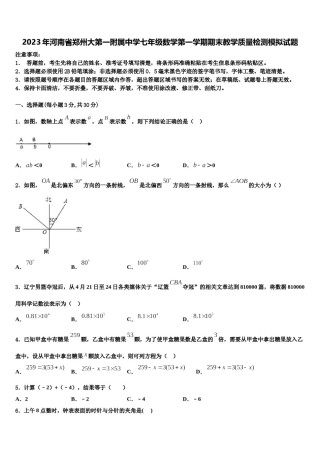 2023年河南省郑州大第一附属中学七年级数学第一学期期末教学质量检测模拟试题含解析.doc
