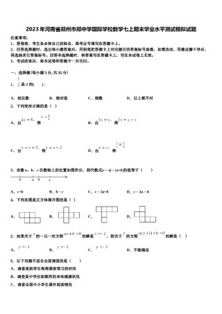 2023年河南省郑州市郑中学国际学校数学七上期末学业水平测试模拟试题含解析.doc