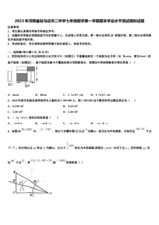 2023年河南省驻马店市二中学七年级数学第一学期期末学业水平测试模拟试题含解析.doc