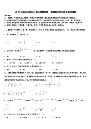 2023年泰安市泰山区七年级数学第一学期期末学业质量监测试题含解析.doc