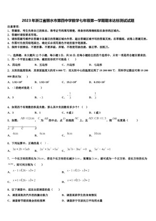 2023年浙江省丽水市第四中学数学七年级第一学期期末达标测试试题含解析.doc