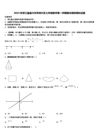 2023年浙江省嘉兴市秀洲片区七年级数学第一学期期末调研模拟试题含解析.doc