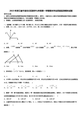 2023年浙江省宁波北仑区数学七年级第一学期期末学业质量监测模拟试题含解析.doc