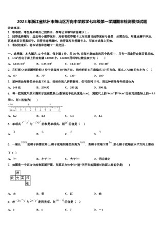 2023年浙江省杭州市萧山区万向中学数学七年级第一学期期末检测模拟试题含解析.doc