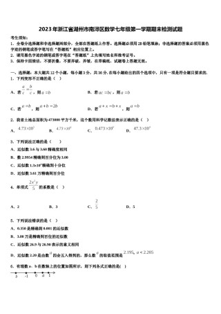 2023年浙江省湖州市南浔区数学七年级第一学期期末检测试题含解析.doc