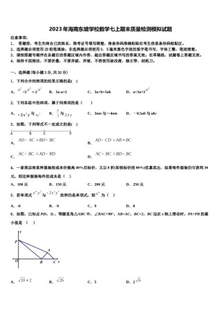 2023年海南东坡学校数学七上期末质量检测模拟试题含解析.doc