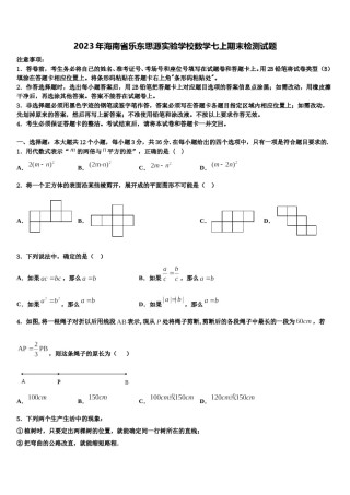 2023年海南省乐东思源实验学校数学七上期末检测试题含解析.doc
