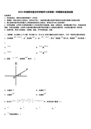 2023年海西市重点中学数学七年级第一学期期末监测试题含解析.doc