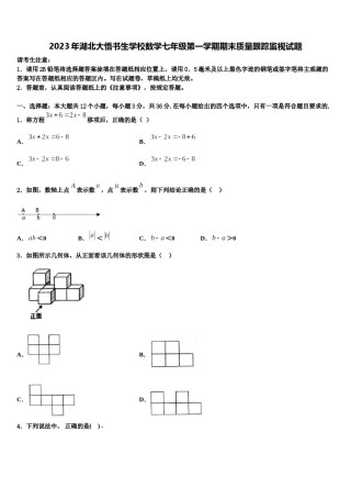 2023年湖北大悟书生学校数学七年级第一学期期末质量跟踪监视试题含解析.doc