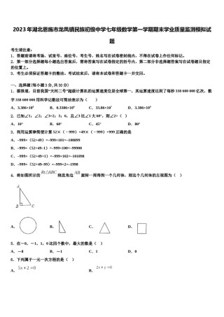2023年湖北恩施市龙凤镇民族初级中学七年级数学第一学期期末学业质量监测模拟试题含解析.doc