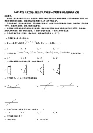 2023年湖北武汉青山区数学七年级第一学期期末综合测试模拟试题含解析.doc