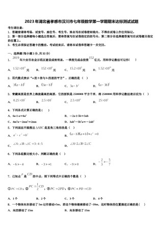 2023年湖北省孝感市汉川市七年级数学第一学期期末达标测试试题含解析.doc