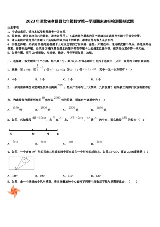 2023年湖北省孝昌县七年级数学第一学期期末达标检测模拟试题含解析.doc